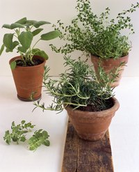Buried pots allow you to grow an in-ground garden while controlling size.
