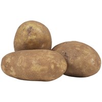 Potatoes require specific storage conditions for ideal taste and appearance.