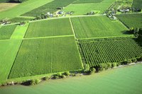 A small 5 acre farm is ideal for self-sufficient farming.