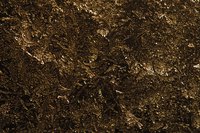 Whether soil is sandy, loamy or rich in organic materials depends on many factors.