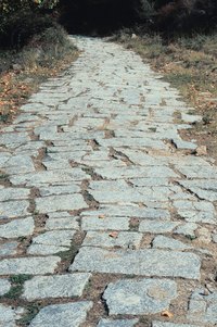 Sealing the flagstone can help prevent weathering.