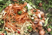 Mix and turn your compost pile regularly to kill fly larvae.
