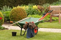 A parked wheelbarrow in the yard with garden tools in the basin.