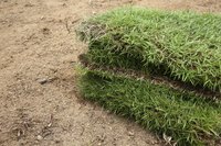 New sod ready to be planted.