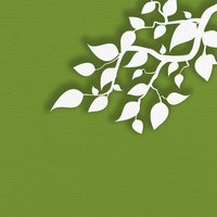 The Cricut machine can cut out intricate designs you design on your computer.