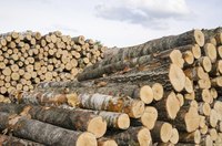 Pile of chopped wood.