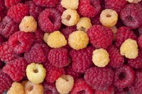 Make the most of the short raspberry season by trying different colors.