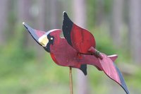 Draw inspiration from real birds to create a whimsical whirligig.