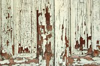 Rotting doors and windows can be repaired with wood filler.