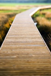 A raised walkway offers a broad perspective of a landscape.
