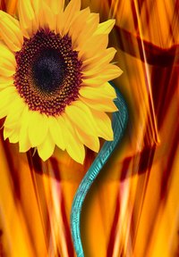 Sew sunflowers in a variety of fabric styles.
