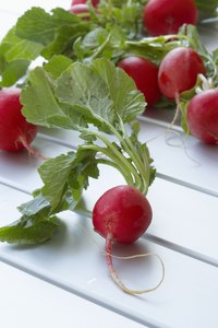 Red radishes with green leafs are the most popular varieties.