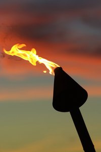 Torches burning citronella fuel effectively deter biting insects.