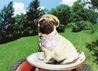 A well-oiled mower can make for a good lawn cut.