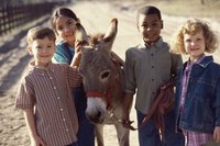 Group of children standing beside a donkey.