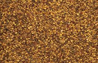 Brown mustard seeds are spicier than yellow.