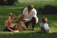 Some veterinarians travel to treat animals.