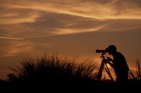 Upload new photos frequently to keep buyers interested.