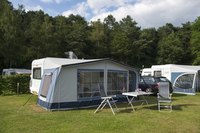 Trees surrounding grounds for camping and mobile homes