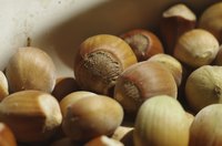 Close-up of hazelnut shells.