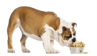 Some food ingredients can set off your pup's allergies.