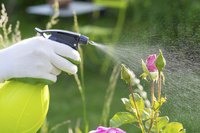 Wear chemical-resistant gloves when spraying Tempo insecticide.