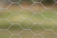Wire fencing is ideal for a cheap and cheerful dog run.