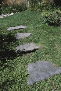 A path of stepping stones makes it easier to walk over uneven ground.