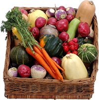 Vegetables are a healthy food choice when handled carefully.