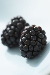 Rich in antioxidants, blackberries are easy to grow -- even for novice gardeners.