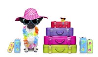 Some tourists in Hawaii really do dress like this.