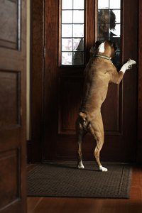 Installing a through-wall dog door will make it easier for your pooch to get outside any time he needs to.
