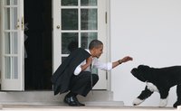Barack and Bo Obama greet each other outside of the Oval Office.