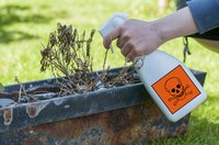 A woman is spraying weed killer around her plants.