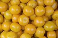 Honey oranges are widespread across South Asia.