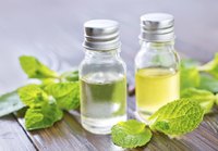 Peppermint essential oil can be made with peppermint leaves and a carrier oil.