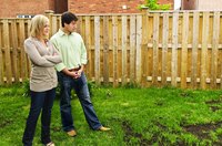 Damaged lawn grass may be patchy.