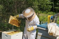 Accessorize your costume with DIY versions of beekeeper gear.