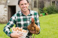 Young farmer holding chicken and basket of eggs.
