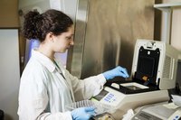 A researcher load DNA samples into a PCR reactor.