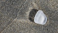 Sea glass washes ashore with the high tide in Florida.