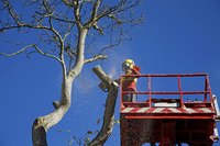 Worker being lifted in man basket