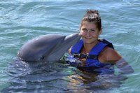 Europe's dolphin parks have to conform to strict standards.