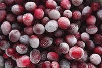 Close-up of frozen cranberries