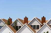 You can use a tenant-based voucher at any rental that accepts Section 8.
