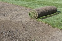 A roll of new sod ready for installation.