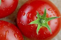 Lycopene is responsible for the red color of tomatoes.