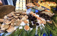 Shellfish of many types are prized for their culinary virtues.