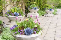 Use identically planted urns to define a garden area.