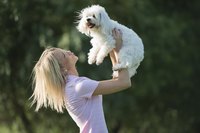 Woman holding up a white maltese outside.